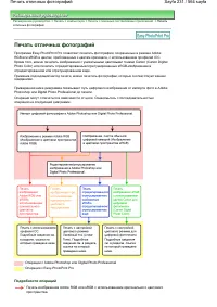 Страница 231