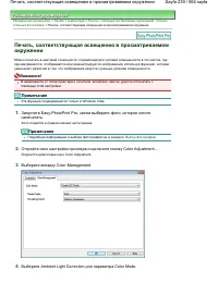 Страница 239