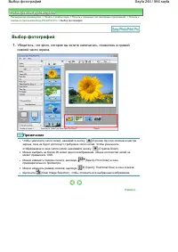 Страница 244