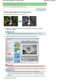 Страница 249