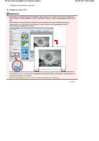 Страница 250