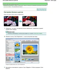 Страница 251