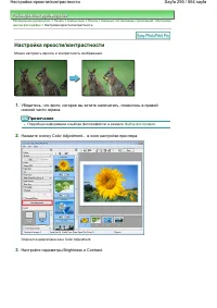Страница 256