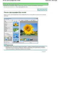 Страница 262