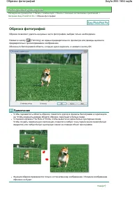 Страница 266