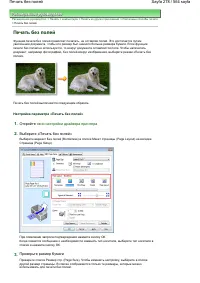 Страница 278