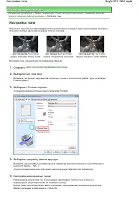Страница 315