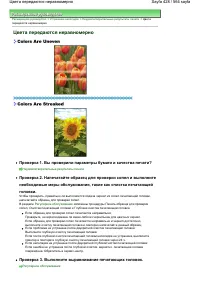 Страница 428