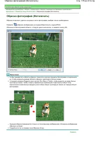 Страница 175