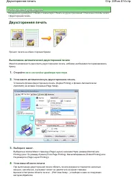 Страница 225