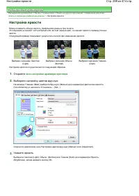 Страница 259