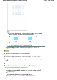 Страница 317