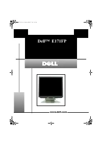 Dell E171FP 