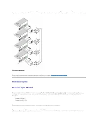 Страница 231
