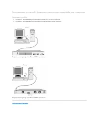 Страница 241