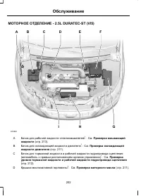 Страница 204