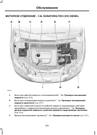 Страница 206