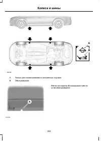 Страница 226