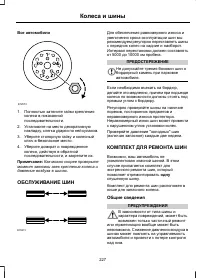 Страница 229