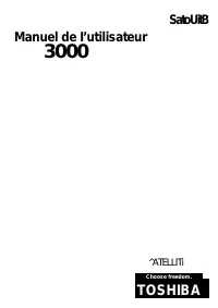 Toshiba Satellite 3000-504 