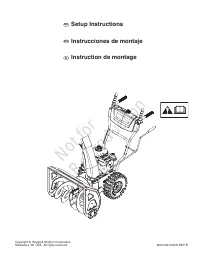Briggs & Stratton 1696610-01