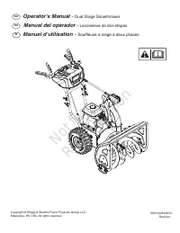 Briggs & Stratton 1696619-00