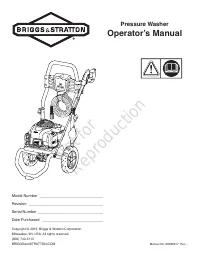 Briggs & Stratton 020769-00