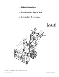 Briggs & Stratton 1696614-00